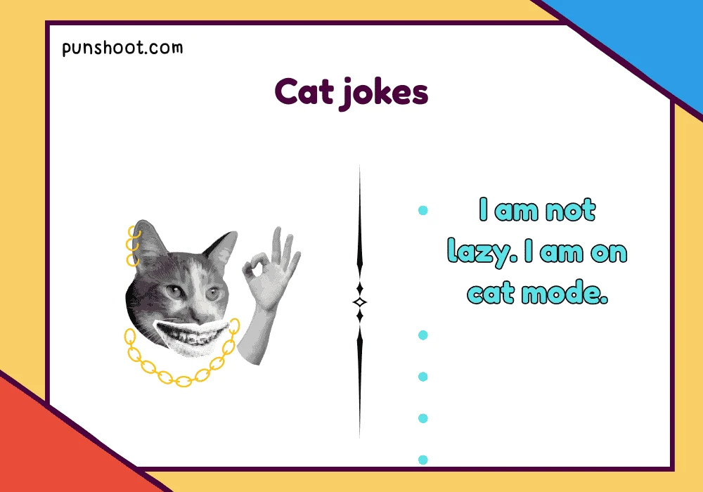 Cat jokes