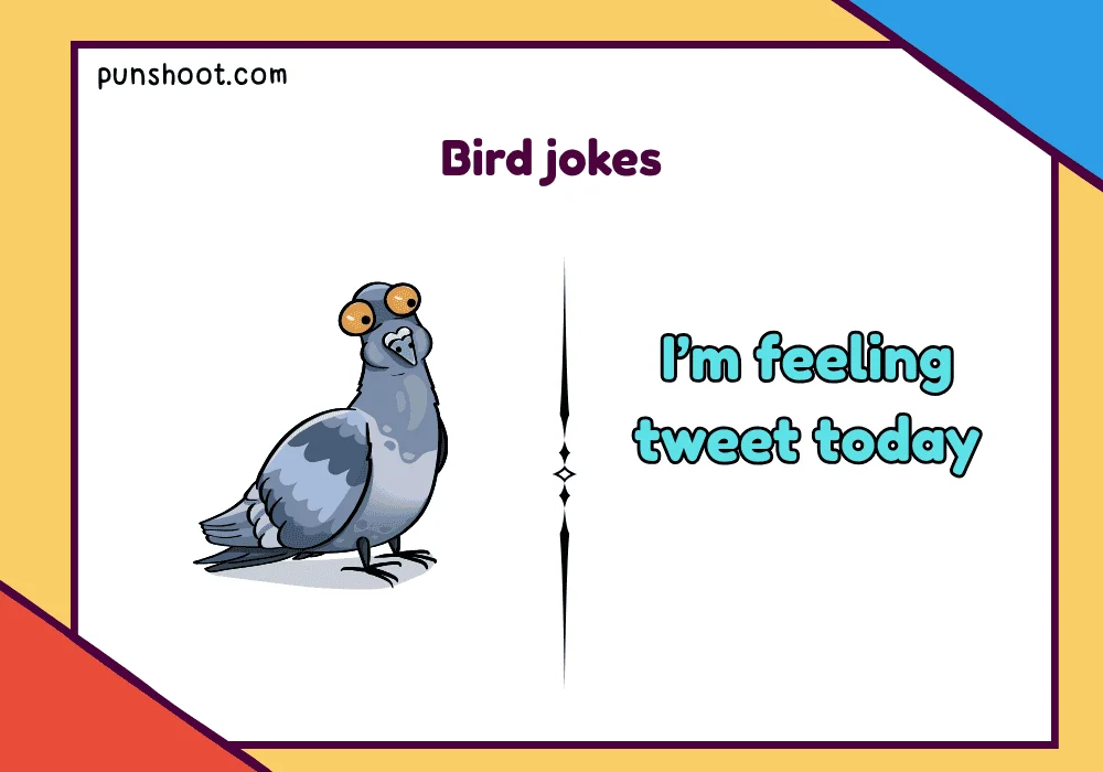 Bird jokes