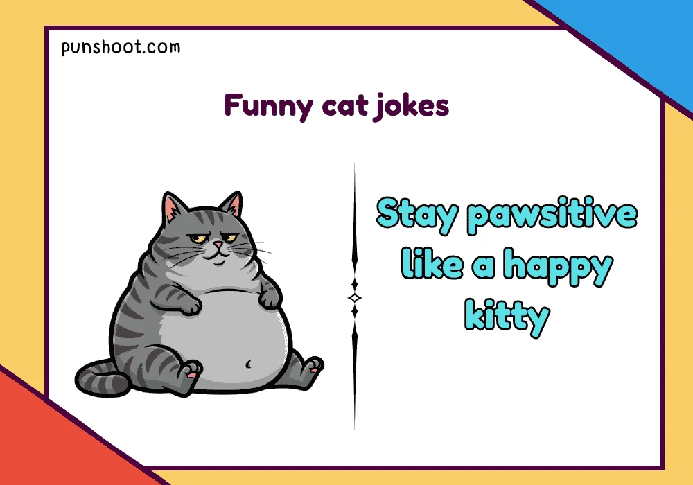 Funny cat jokes