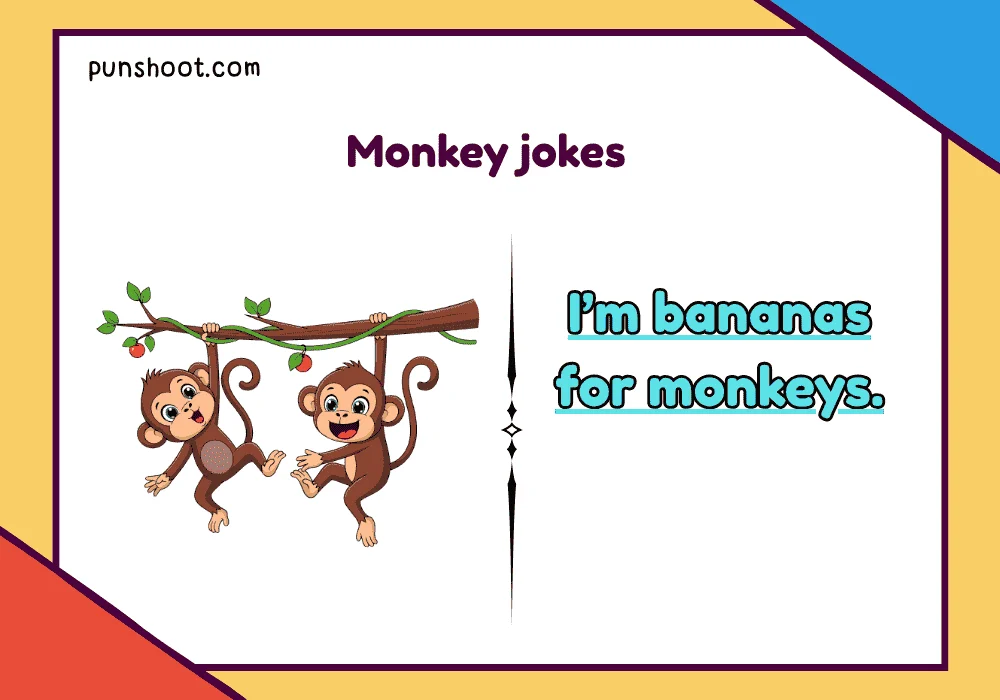 Monkey jokes