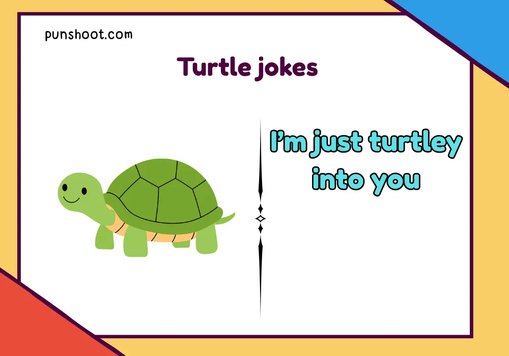 Turtle jokes