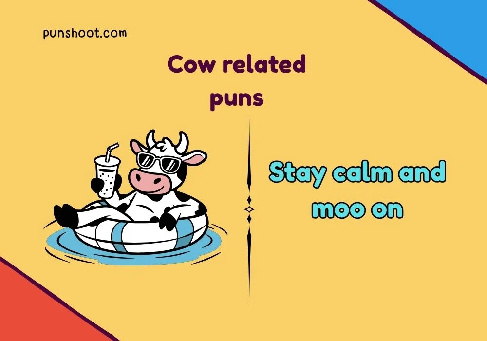 Cow related puns