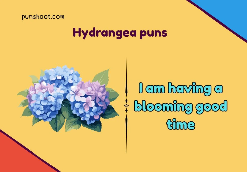 Hydrangea puns
