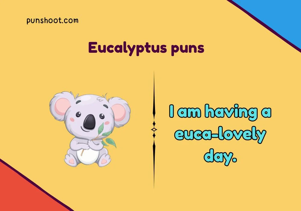 Eucalyptus puns