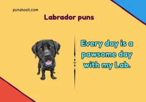 Labrador puns