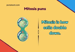 Mitosis puns